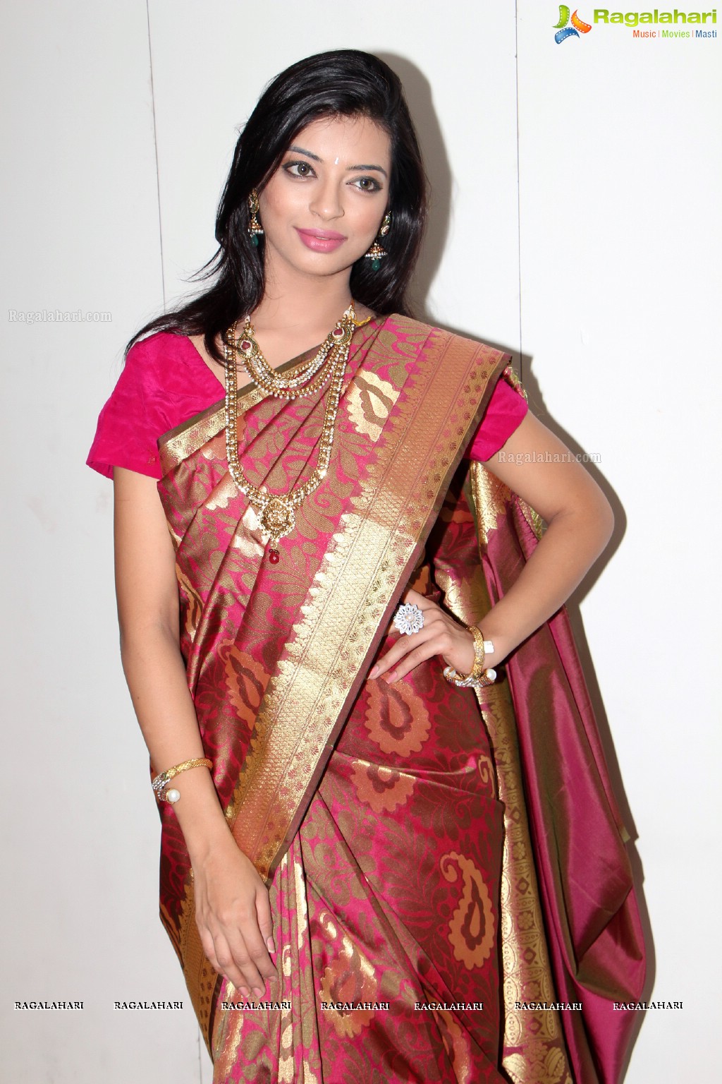 Hamsa Nandini launches CMR 2013 Ashadam Festive Collection