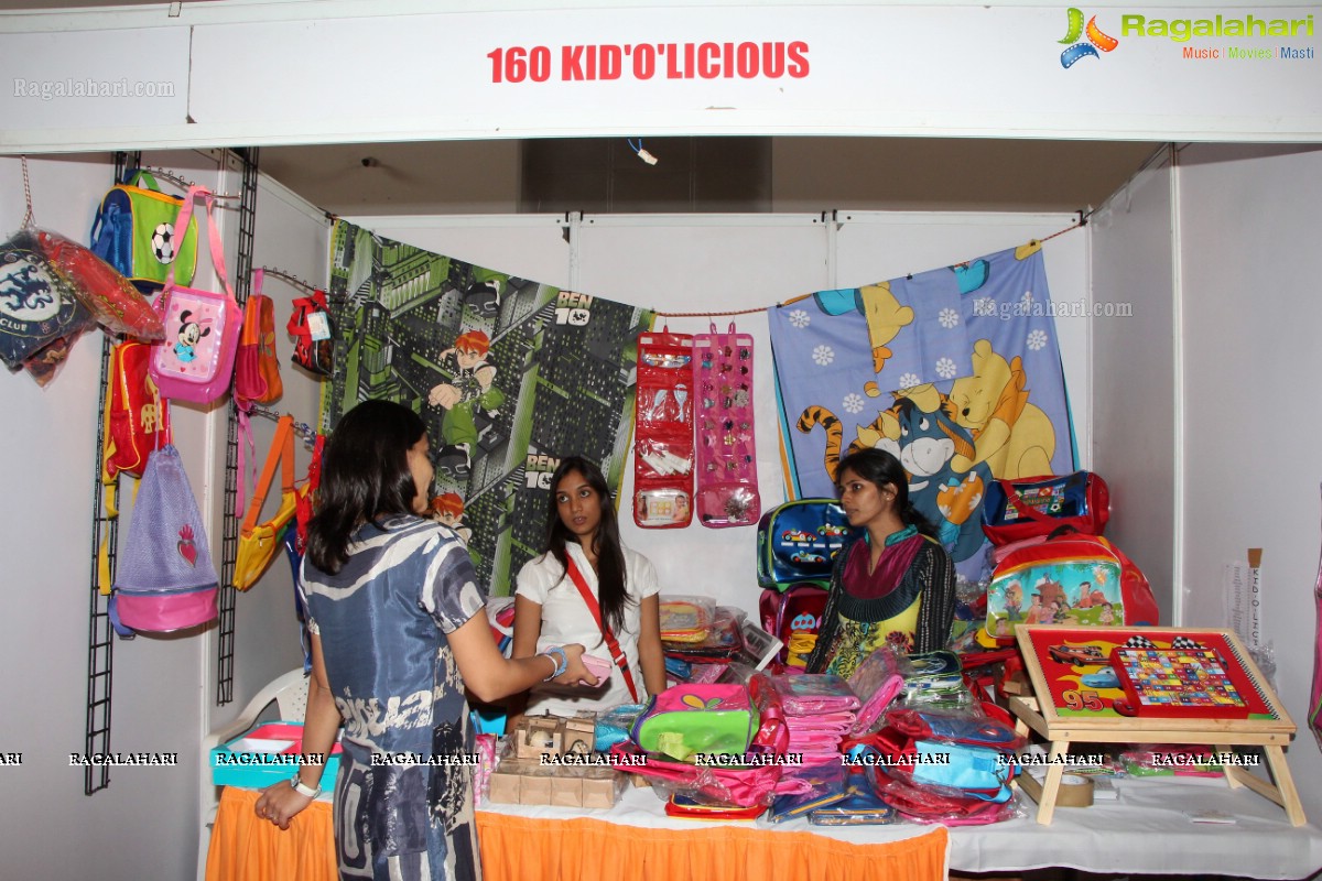 Deep Mela 2013 by Deepshikha Mahila Club at HITEX, Hyderabad