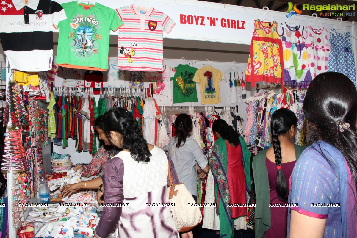 Deep Mela 2013 by Deepshikha Mahila Club at HITEX, Hyderabad