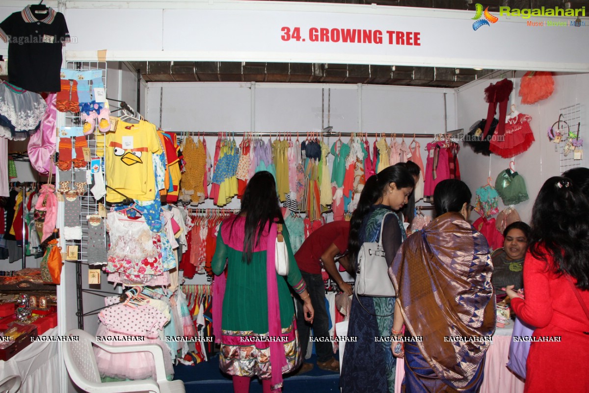 Deep Mela 2013 by Deepshikha Mahila Club at HITEX, Hyderabad