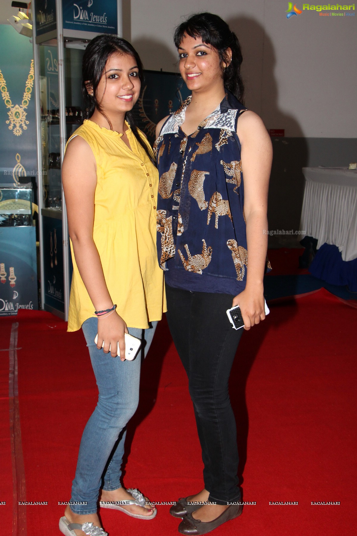 Deep Mela 2013 by Deepshikha Mahila Club at HITEX, Hyderabad