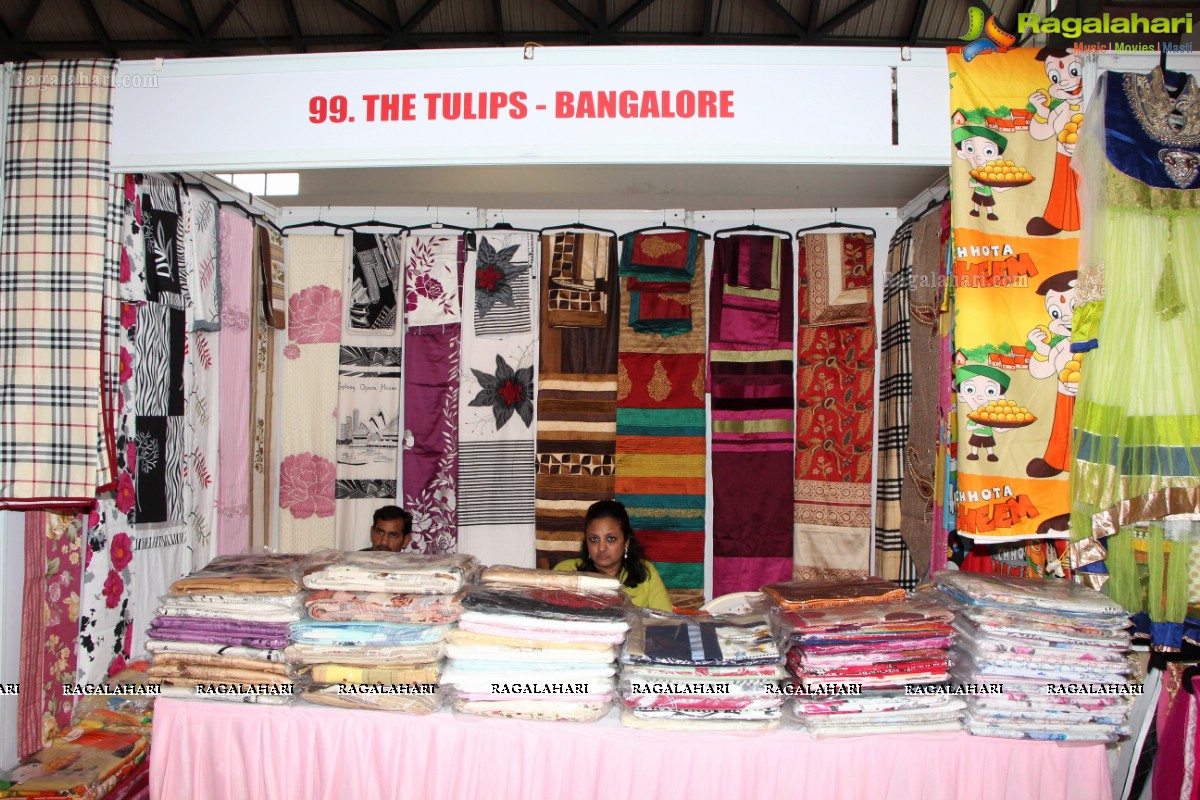 Deep Mela 2013 by Deepshikha Mahila Club at HITEX, Hyderabad