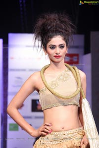 Hyderabad Fashion Week HFW 2013 Day 3 High Resolution Photos