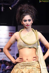 Hyderabad Fashion Week HFW 2013 Day 3 High Resolution Photos