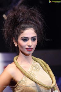 Hyderabad Fashion Week HFW 2013 Day 3 High Resolution Photos