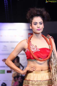 Hyderabad Fashion Week HFW 2013 Day 3 High Resolution Photos