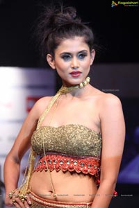 Hyderabad Fashion Week HFW 2013 Day 3 High Resolution Photos