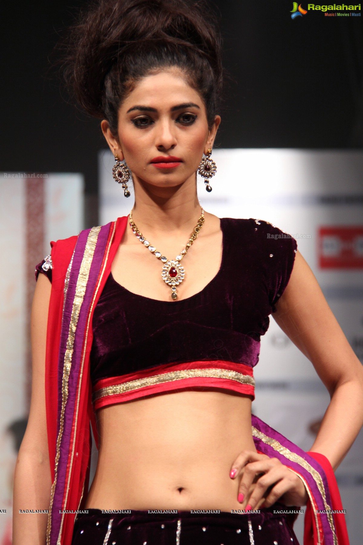 Hyderabad Fashion Week-2013, Season 3 (Day 3)