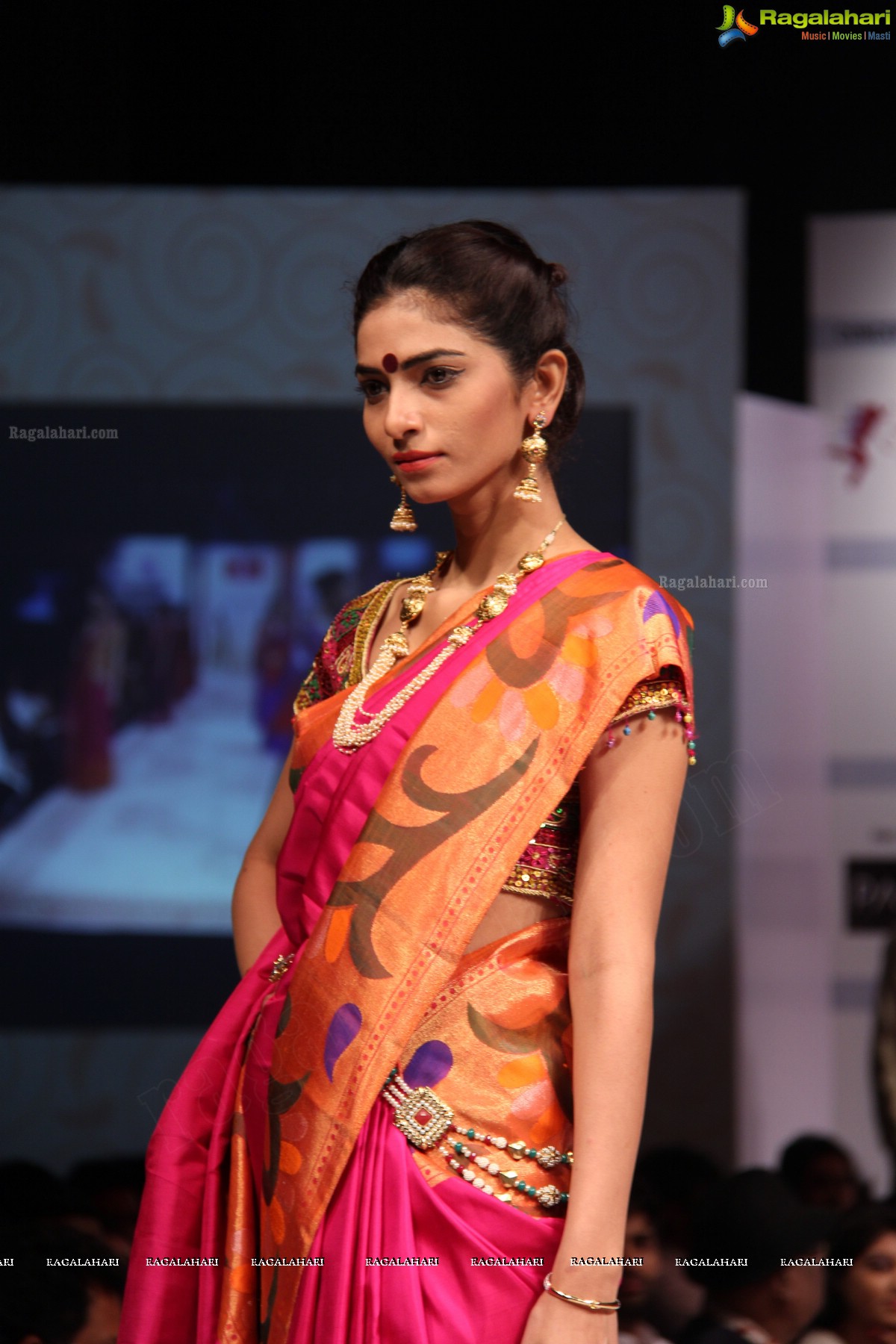 Hyderabad Fashion Week-2013, Season 3 (Day 3)