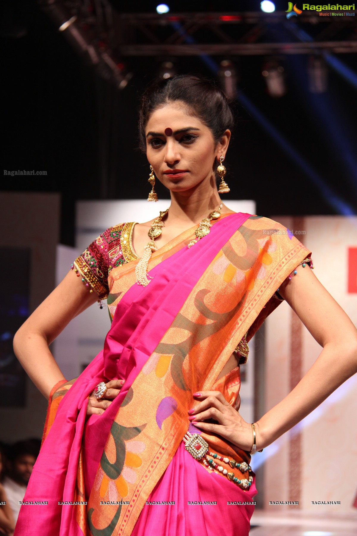 Hyderabad Fashion Week-2013, Season 3 (Day 3)