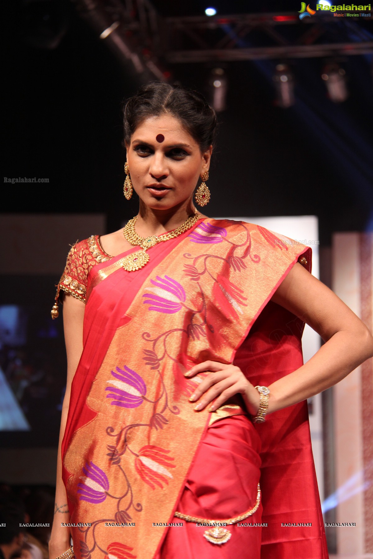 Hyderabad Fashion Week-2013, Season 3 (Day 3)