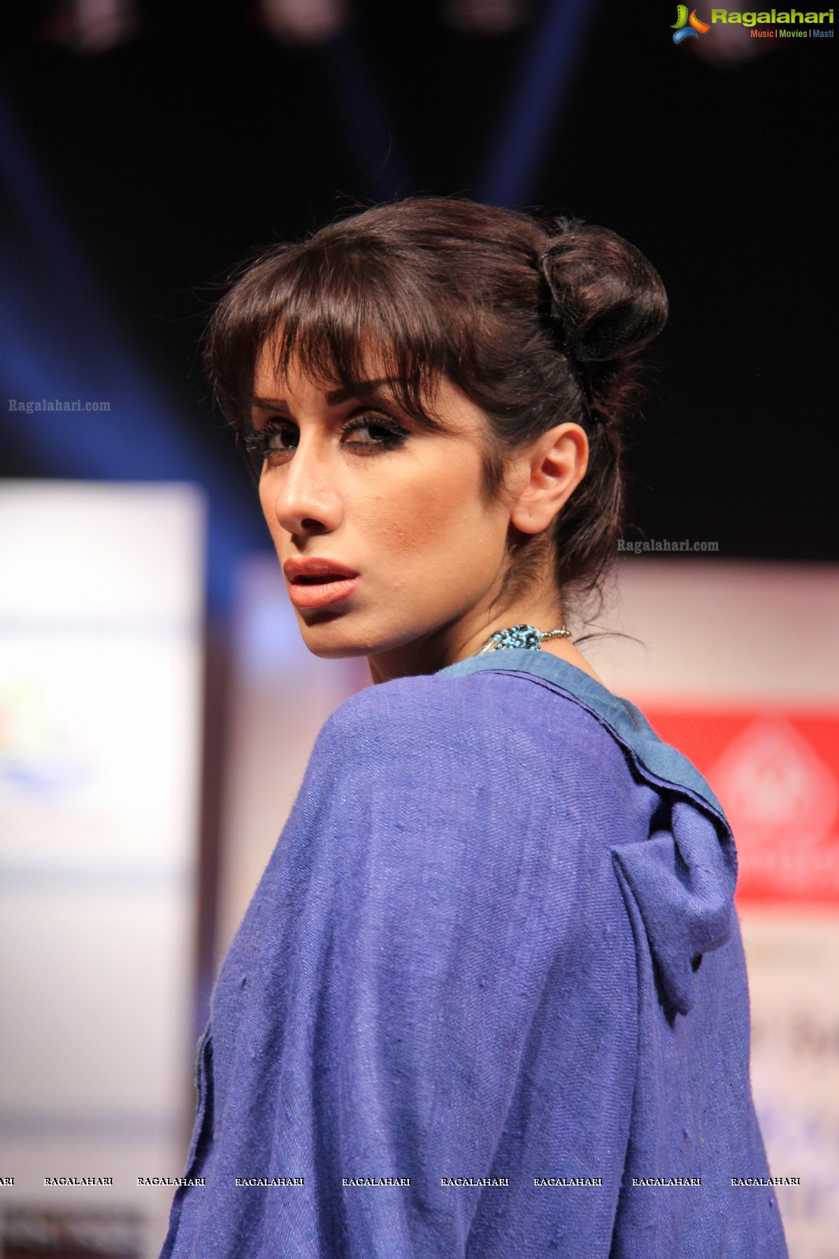 Hyderabad Fashion Week-2013, Season 3 (Day 3)