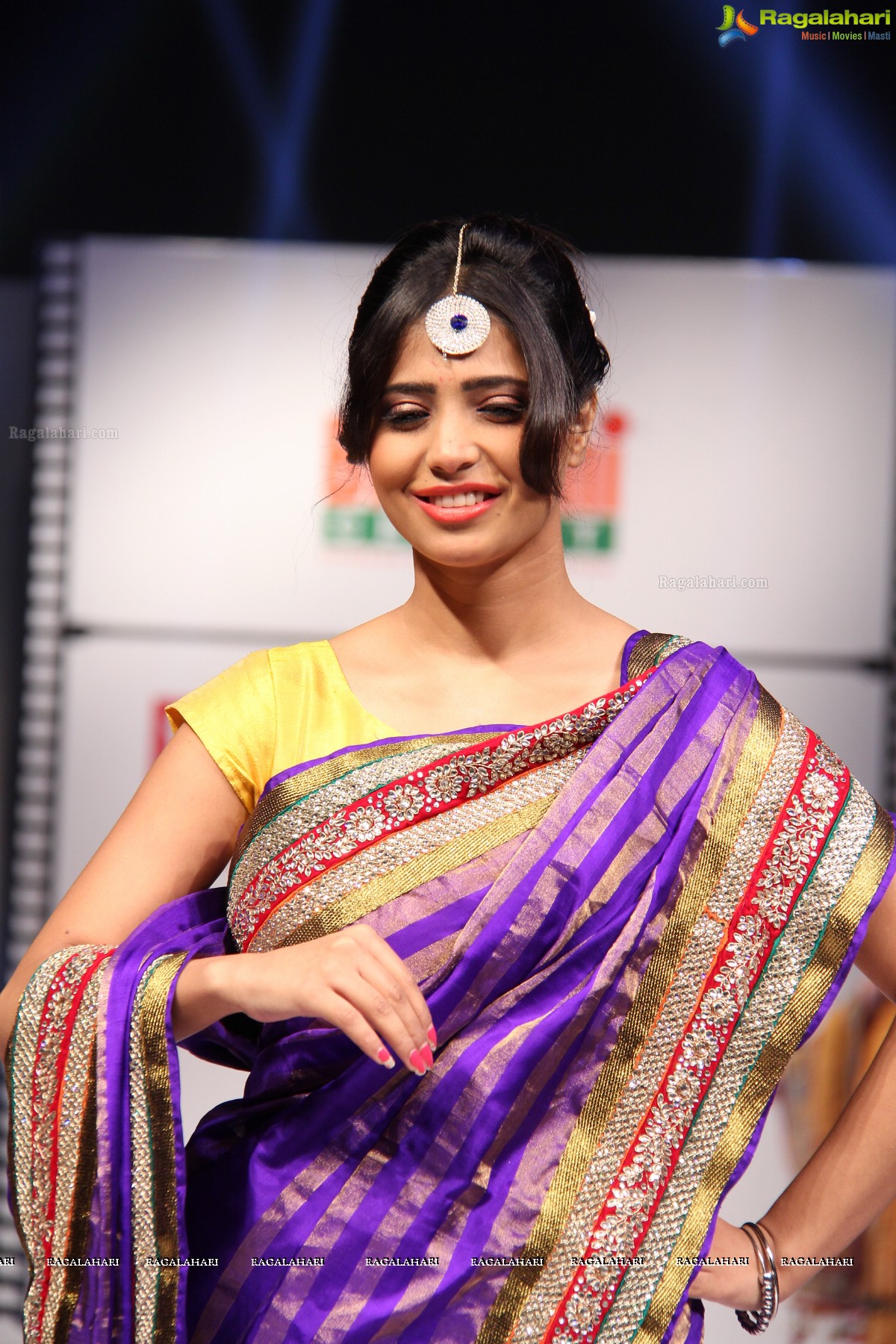 Hyderabad Fashion Week-2013, Season 3 (Day 2)