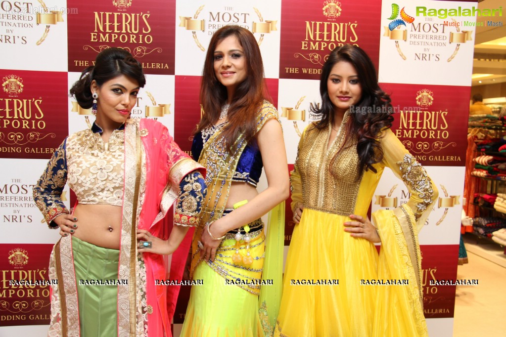 Neeru's Emporio NRI Collection 2013, Hyderabad