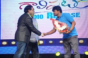 Gaalipatam Audio Release