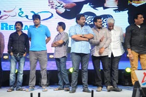 Gaalipatam Audio Release