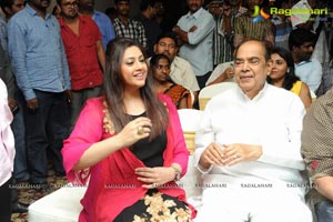 Drushyam Success Meet