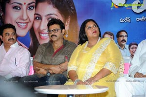 Drushyam Success Meet