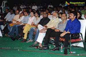 Manam Vajrotsavam Function