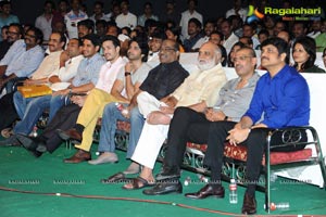 Manam Vajrotsavam Function