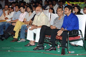 Manam Vajrotsavam Function