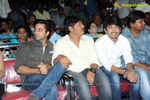 Nuvvala Nenila Audio Release