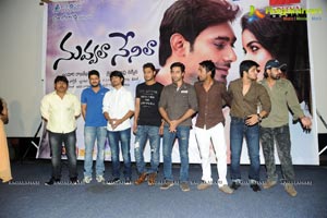 Nuvvala Nenila Audio Release