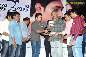 Nuvvala Nenila Audio Release