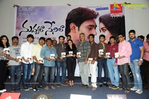 Nuvvala Nenila Audio Release