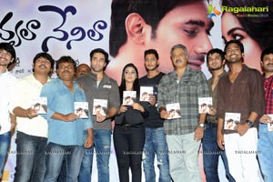 Nuvvala Nenila Audio Release