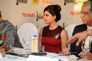 61st Idea Filmfare Awards 2013