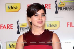 61st Idea Filmfare Awards 2013