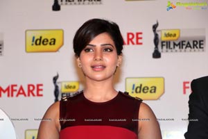 61st Idea Filmfare Awards 2013