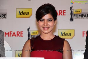 61st Idea Filmfare Awards 2013