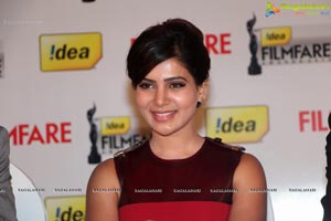 61st Idea Filmfare Awards 2013