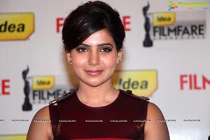 61st Idea Filmfare Awards 2013