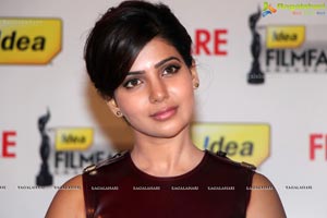 61st Idea Filmfare Awards 2013