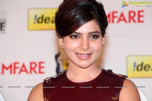 61st Idea Filmfare Awards 2013