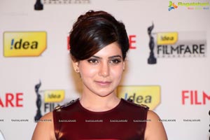 61st Idea Filmfare Awards 2013