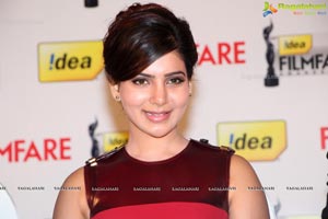 61st Idea Filmfare Awards 2013