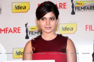 61st Idea Filmfare Awards 2013