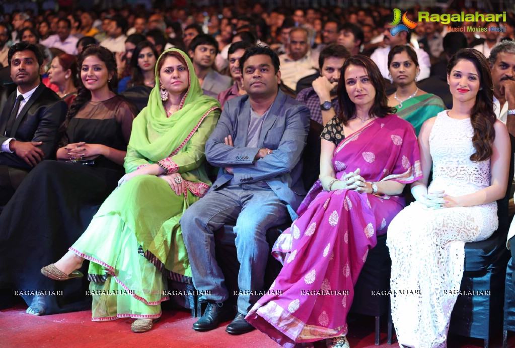 61st Idea Filmfare Awards 2013 South, Chennai