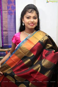 Lepakshi Cotton Silk Fab