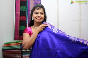 Lepakshi Cotton Silk Fab