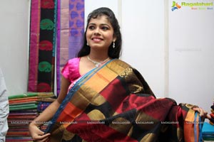 Lepakshi Cotton Silk Fab