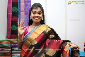 Lepakshi Cotton Silk Fab