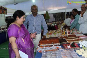 Lepakshi Exhibition