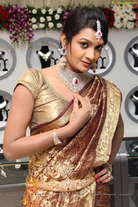 Malabar Artistry Branded Jewellery Show