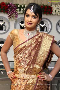 Malabar Artistry Branded Jewellery Show