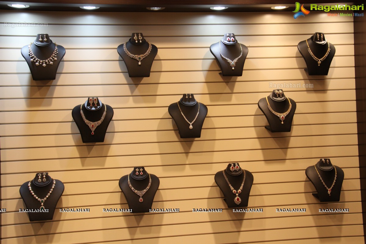 Malabar Artistry Branded Jewellery Show 2014, Hyderabad